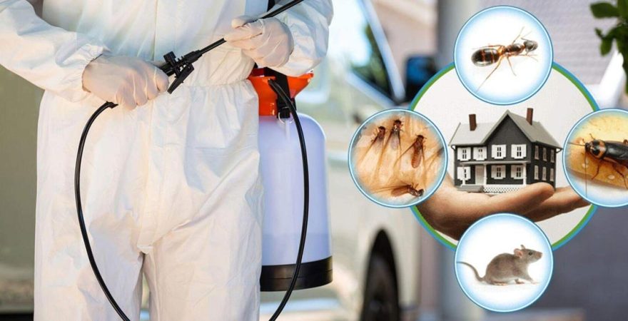 Narlıdere Böcek İlaçlama