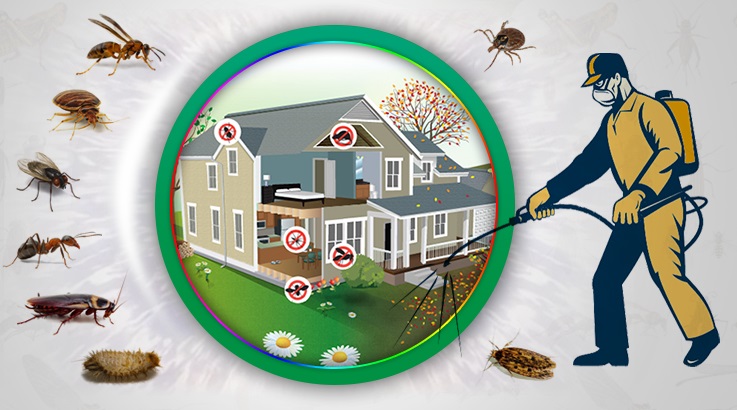 Narlıdere Böcek İlaçlama