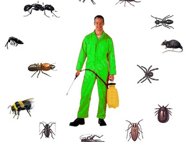 Narlıdere Böcek İlaçlama